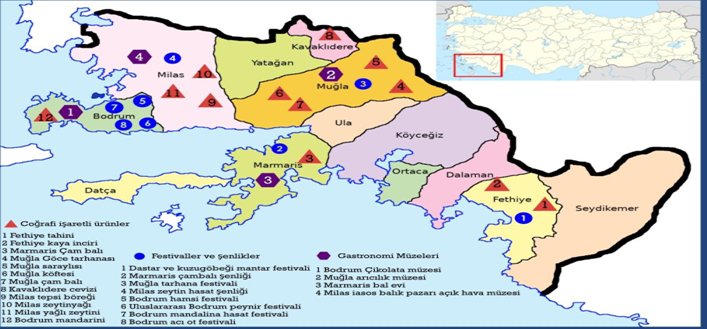 Bolgesel Bodrum Urunleri 1